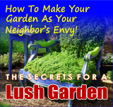 Lush Garden 3
