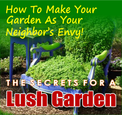 Lush Garden 2